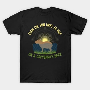 Even The Sun Likes To Nap On A Capybara's Back T-Shirt